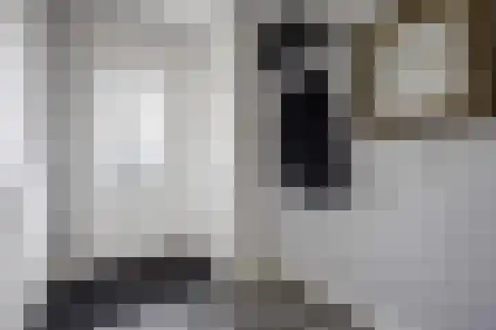 Brahmslaan 44 Voorthuizen thumbnail 5