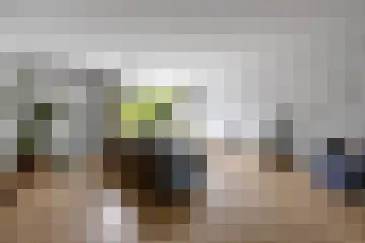 Brahmslaan 44 Voorthuizen thumbnail 8
