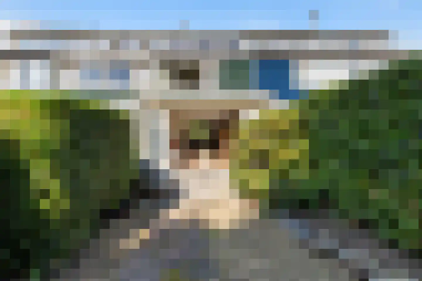 Brahmslaan 45 Nijkerk thumbnail 16