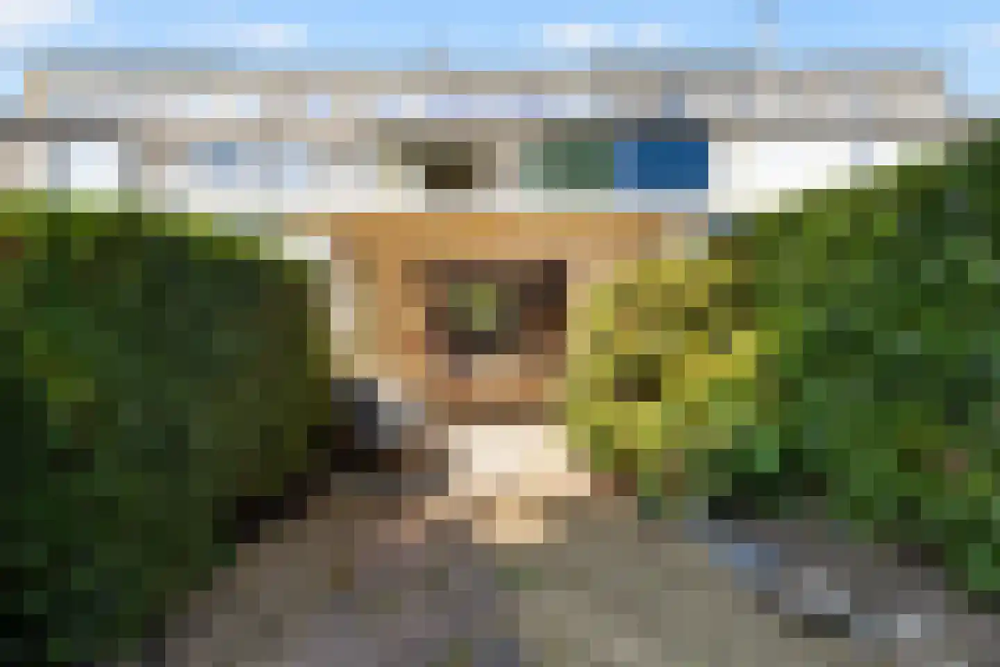 Brahmslaan 45 Nijkerk thumbnail 17