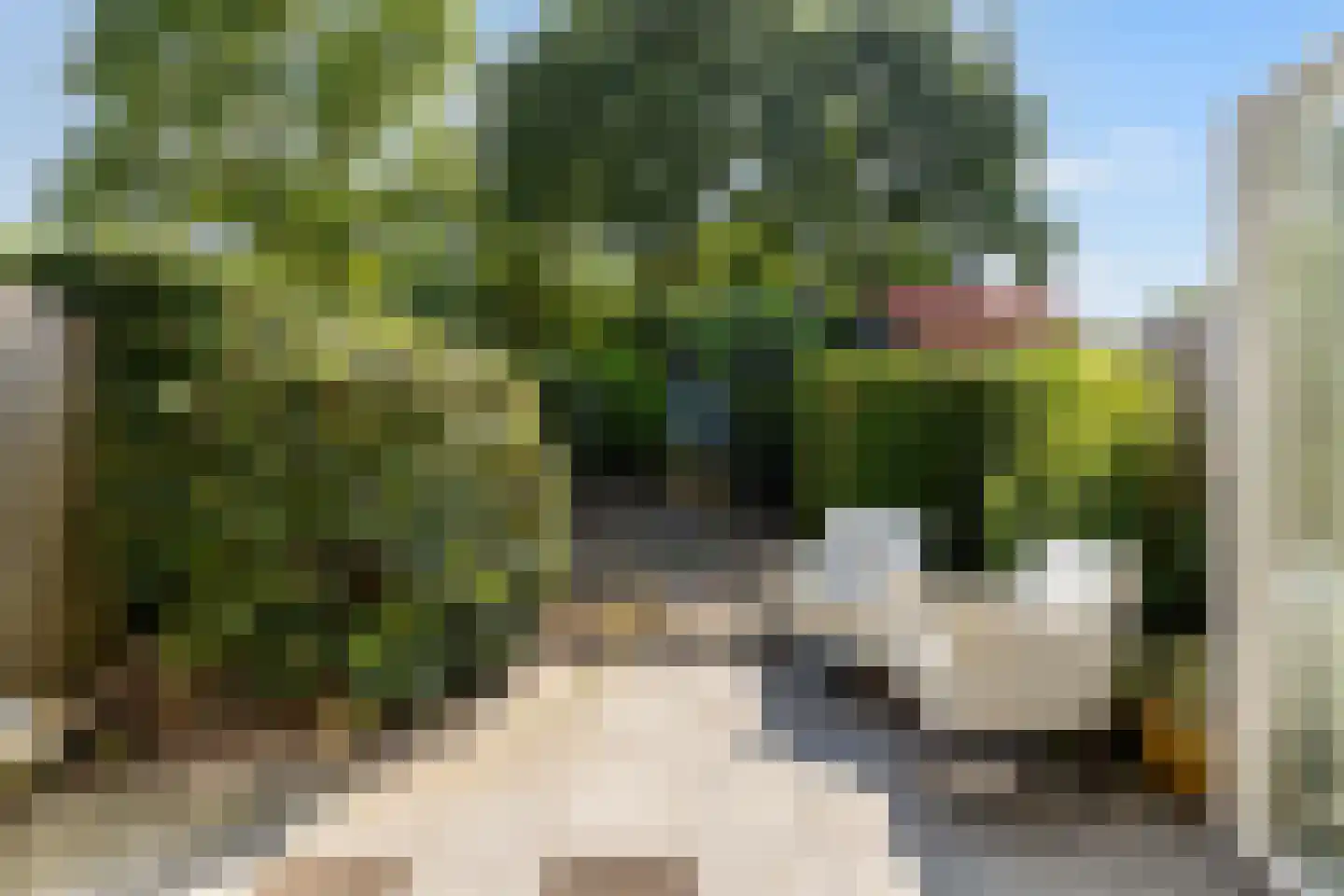 Brahmslaan 45 Nijkerk thumbnail 4