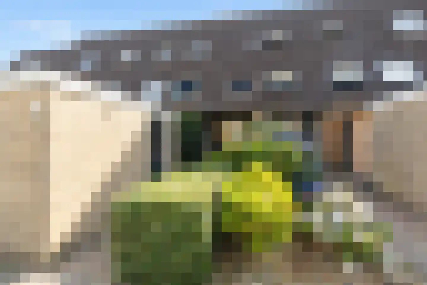 Brahmslaan 45 Nijkerk thumbnail 5