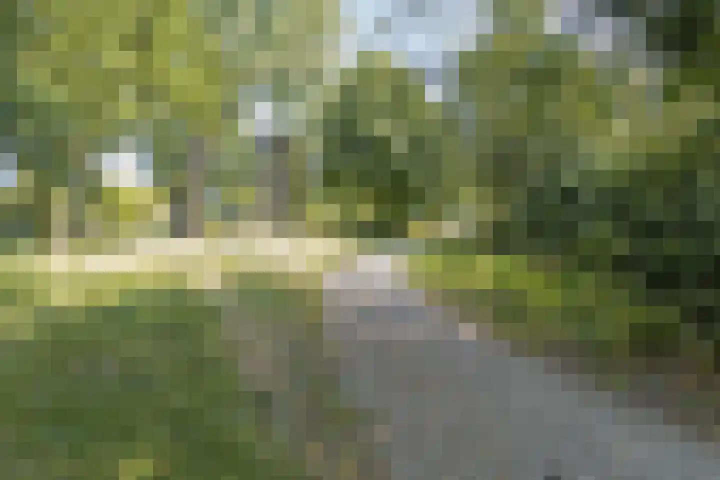 Brahmslaan 47 Leiden thumbnail 22