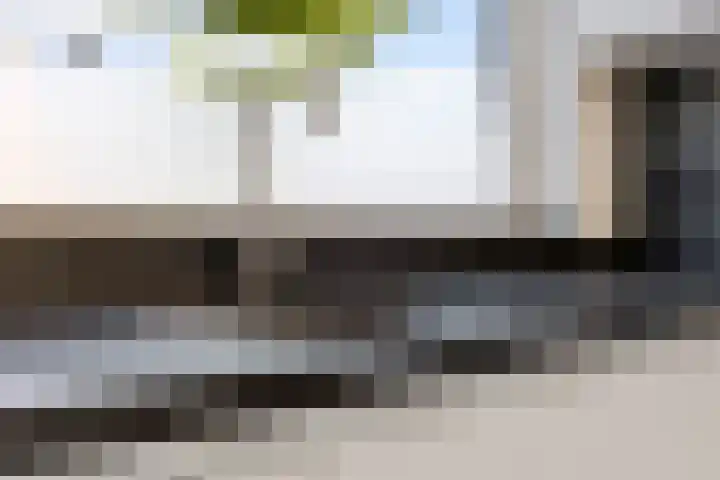Brahmslaan 49 Eindhoven thumbnail 14