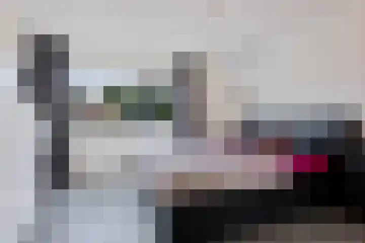 Brahmslaan 49 Eindhoven thumbnail 18