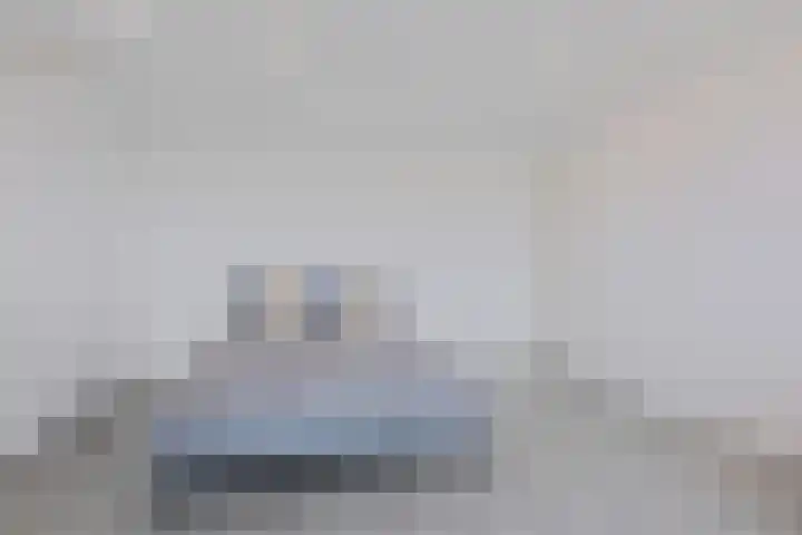 Brahmslaan 49 Eindhoven thumbnail 31