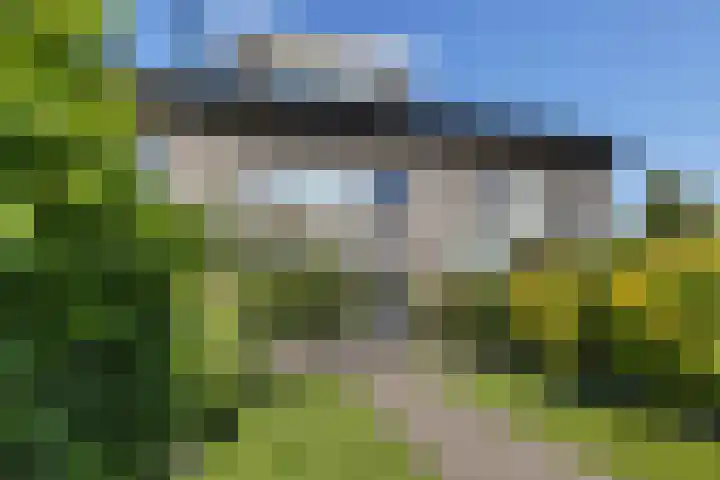 Brahmslaan 49 Eindhoven thumbnail 39