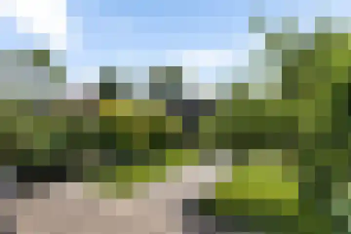 Brahmslaan 49 Eindhoven thumbnail 41
