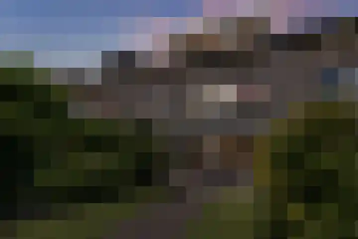 Brahmslaan 49 Eindhoven thumbnail 51