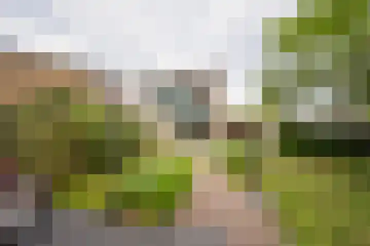 Brahmslaan 53 Nijkerk thumbnail 8