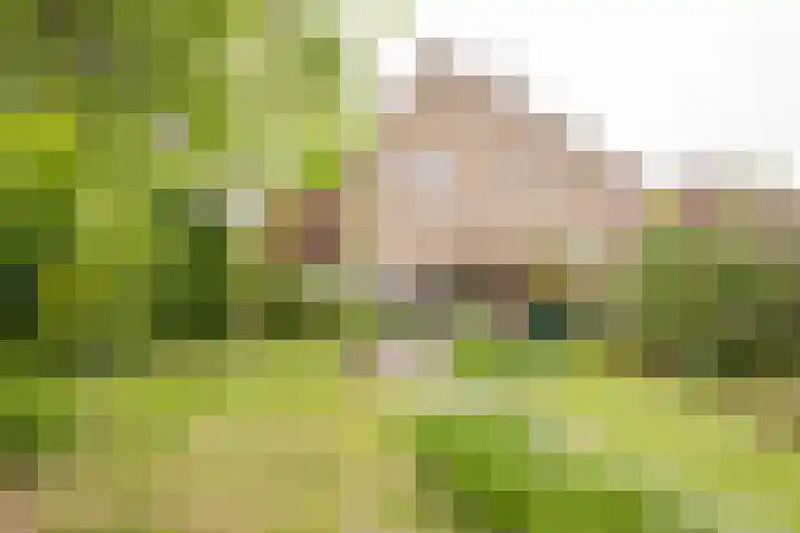 Brahmslaan 53 Nijkerk thumbnail 9