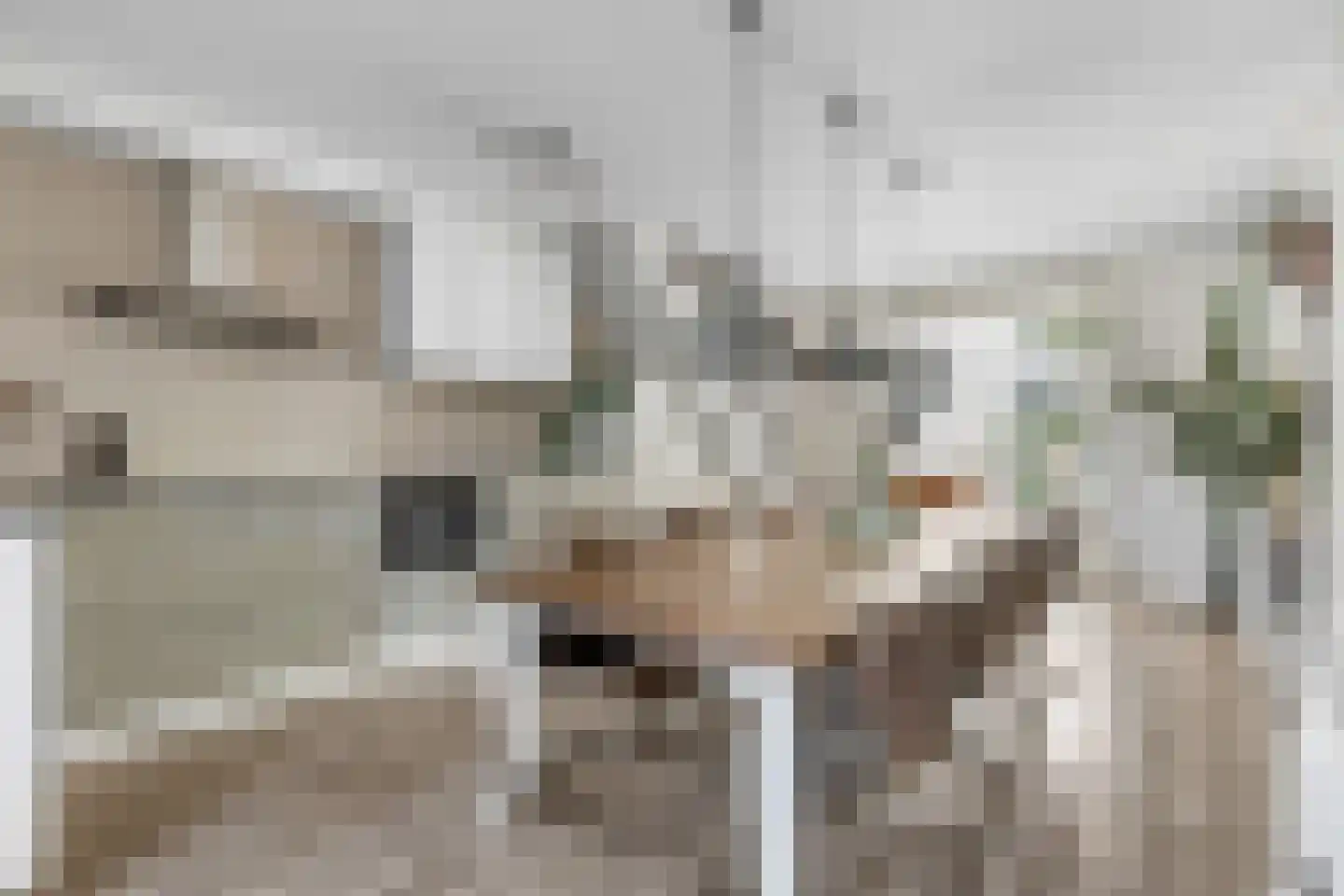 Brahmslaan 55 Nijkerk thumbnail 4