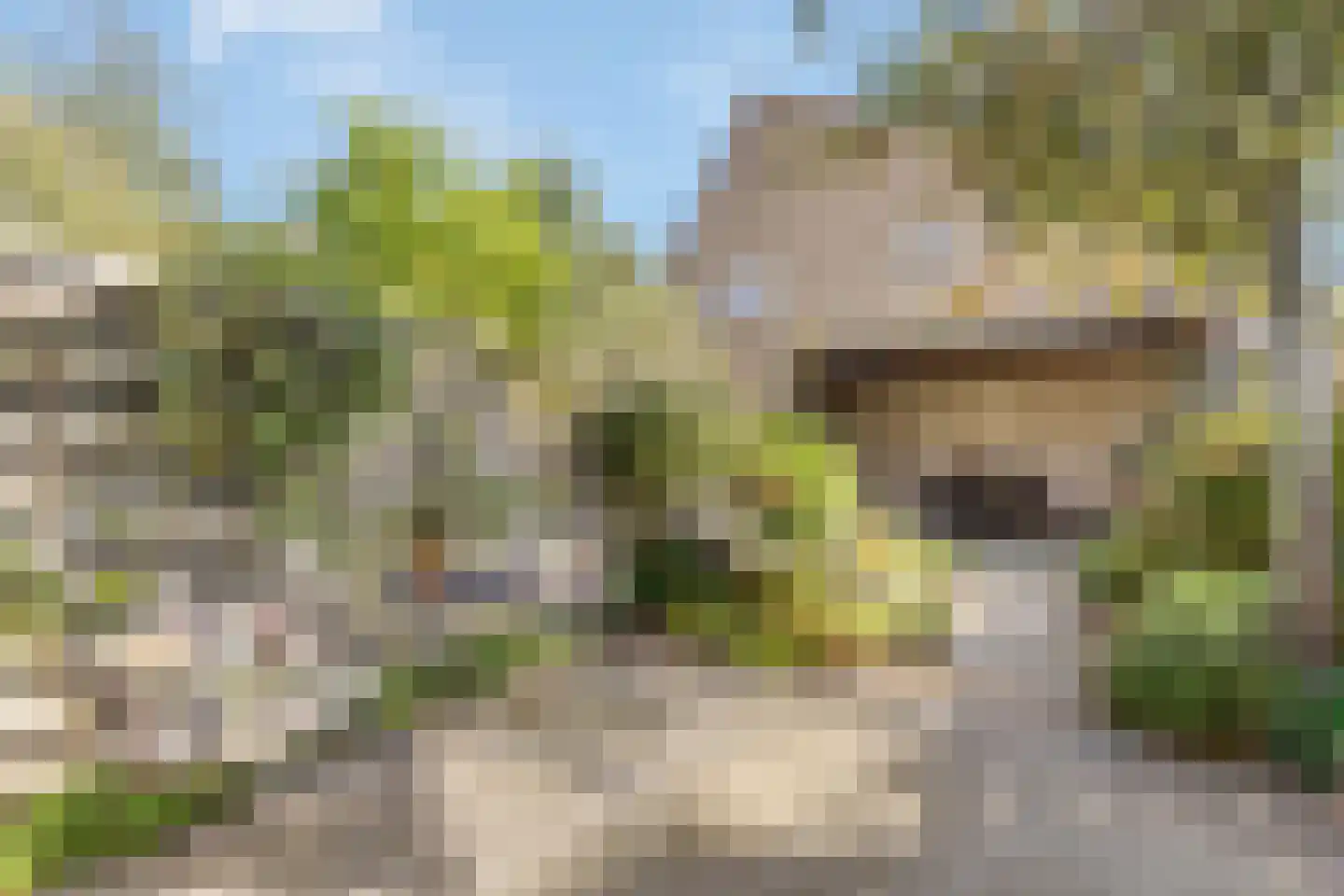 Brahmslaan 55 Nijkerk thumbnail 6