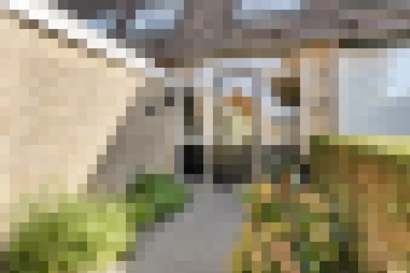 Brahmslaan 55 Nijkerk thumbnail 7