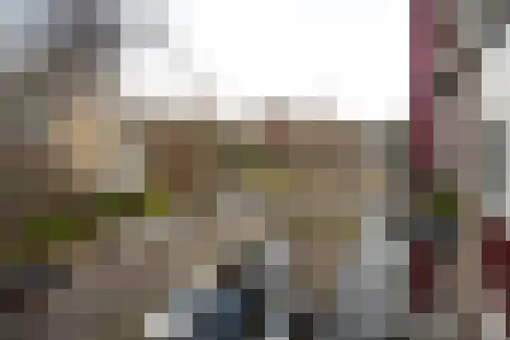 Brahmslaan 60 Leiden thumbnail 23