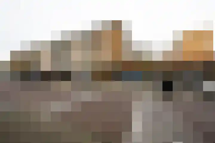 Brahmslaan 60 Leiden thumbnail 29
