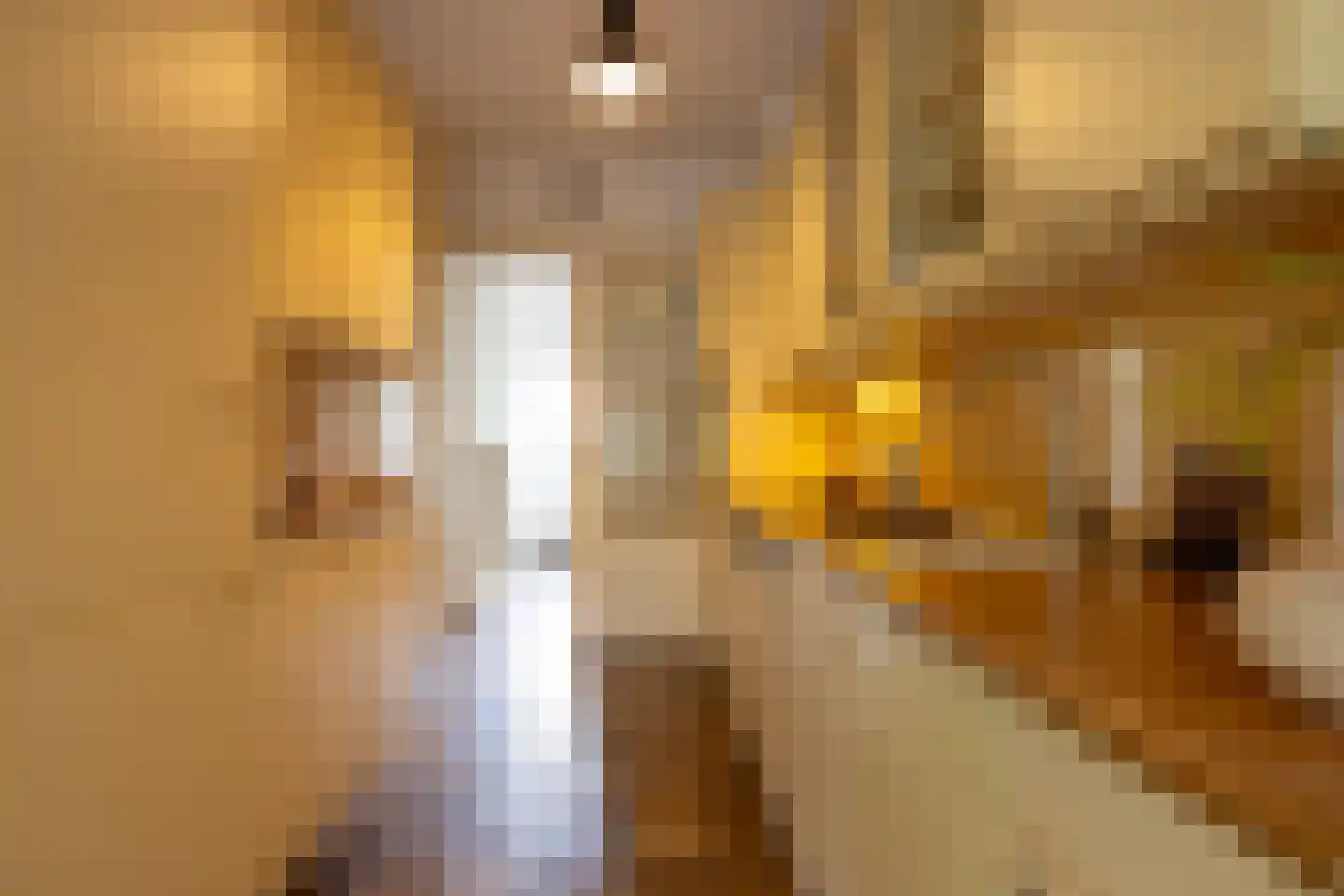 Brahmslaan 7 Rotterdam thumbnail 13