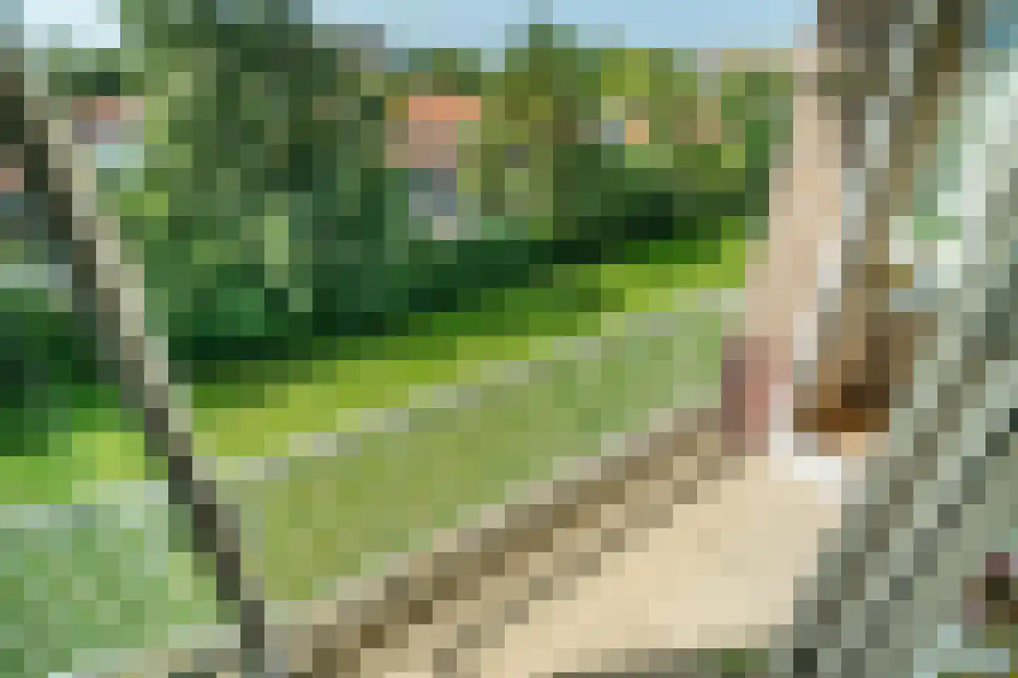 Brahmslaan 71 Leiden thumbnail 11