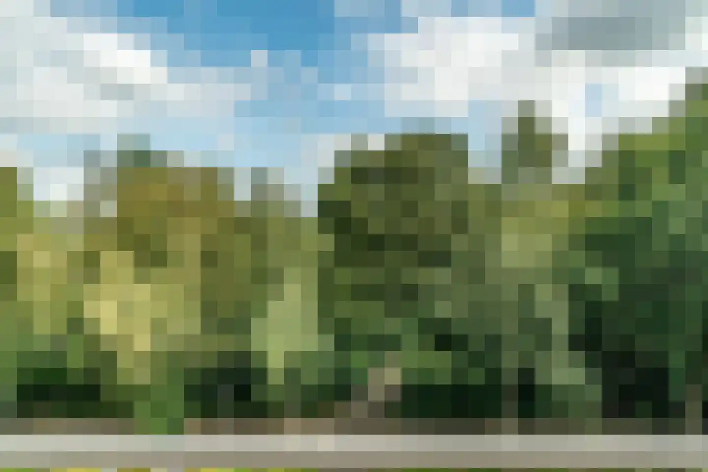 Brahmslaan 71 Leiden thumbnail 4