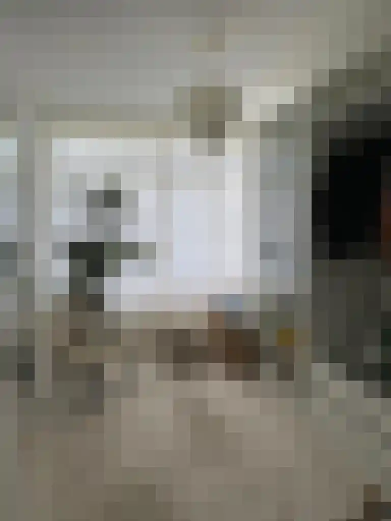 Brahmslaan 71 Leiden thumbnail 5