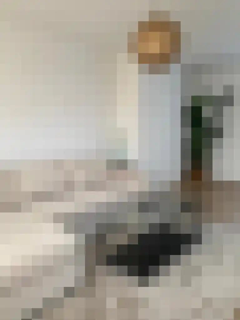 Brahmslaan 71 Leiden thumbnail 8