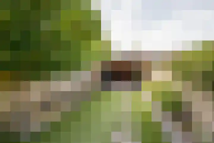 Brahmslaan 73 Nijkerk thumbnail 28
