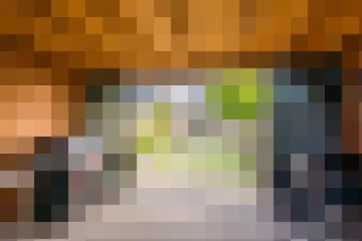Brahmslaan 73 Nijkerk thumbnail 30