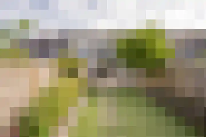 Brahmslaan 73 Nijkerk thumbnail 31