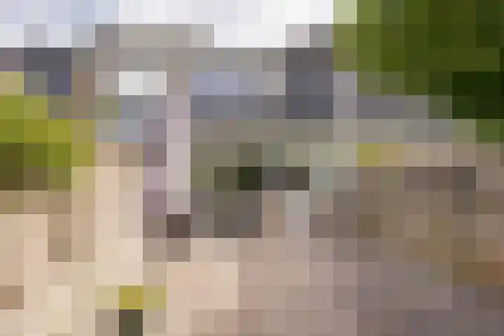 Brahmslaan 73 Nijkerk thumbnail 32