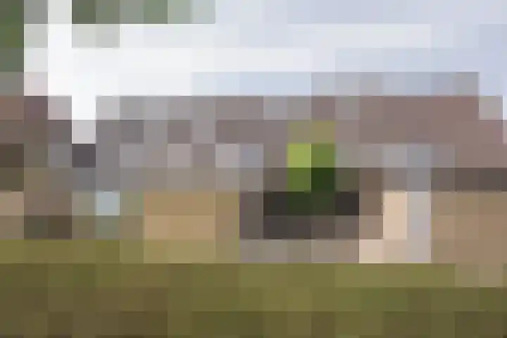 Brahmslaan 73 Nijkerk thumbnail 36