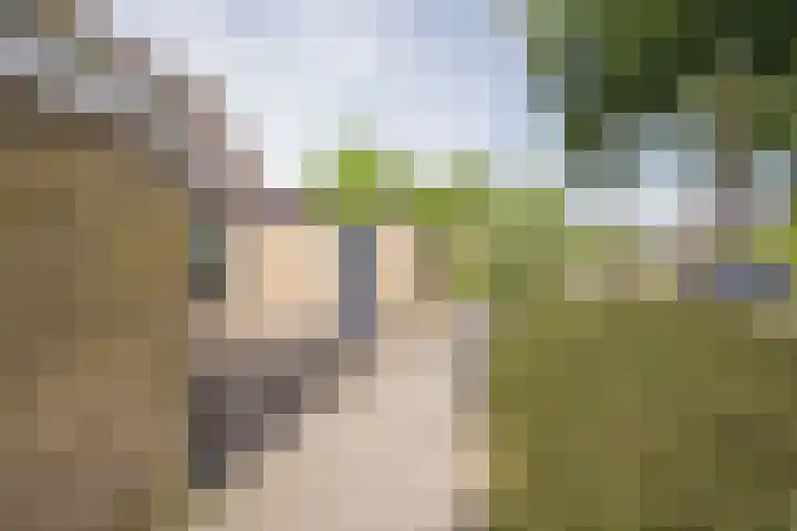Brahmslaan 73 Nijkerk thumbnail 37
