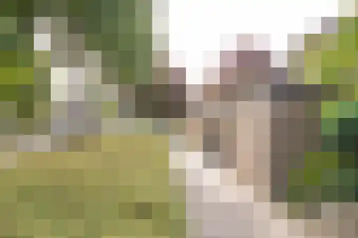 Brahmslaan 73 Nijkerk thumbnail 38
