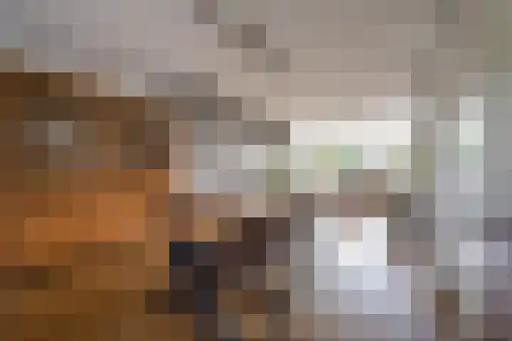 Brahmslaan 73 Nijkerk thumbnail 5