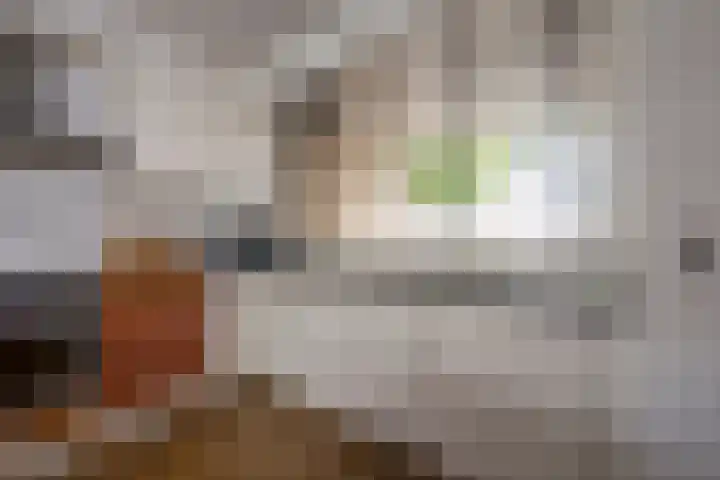 Brahmslaan 73 Nijkerk thumbnail 8