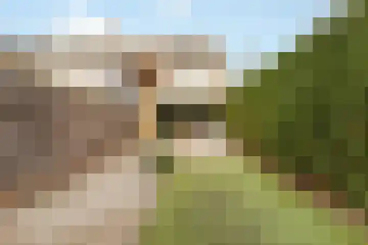 Brahmslaan 79 Nijkerk thumbnail 25