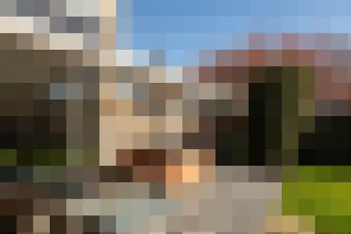Brahmslaan 81 Nijkerk thumbnail 22