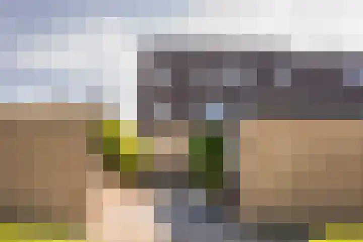Brahmslaan 81 Nijkerk thumbnail 23