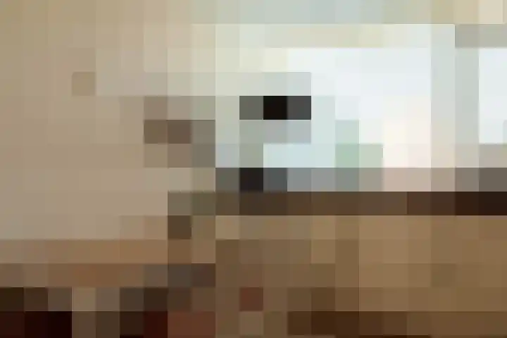 Brahmslaan 81 Nijkerk thumbnail 8