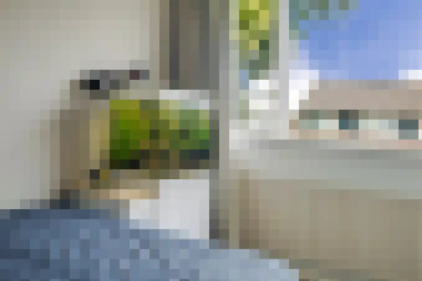 Brahmspark 15 Waalwijk thumbnail 19