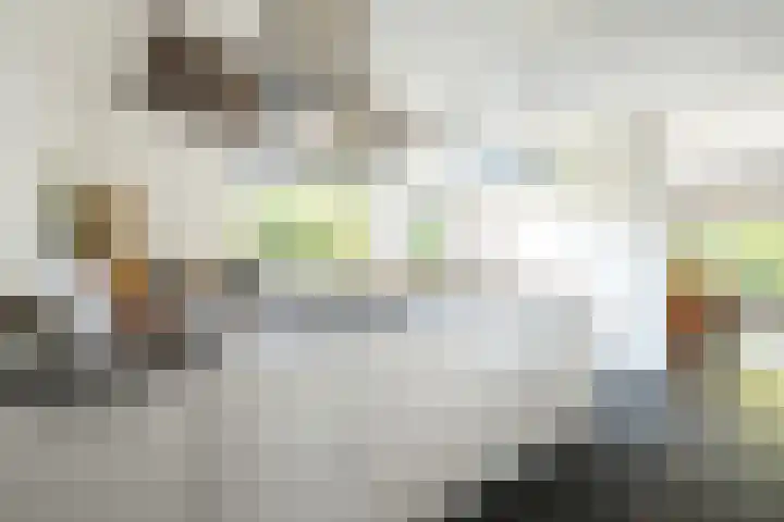 Brahmspark 20 Drunen thumbnail 11