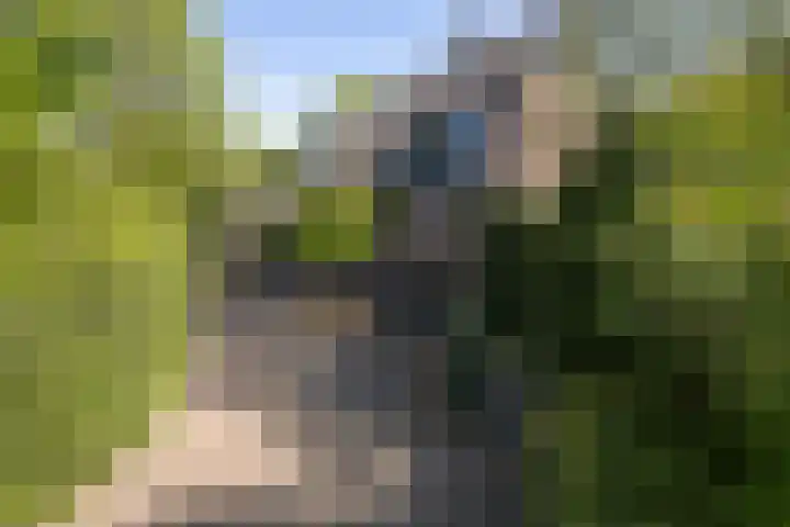 Brahmspark 20 Drunen thumbnail 32
