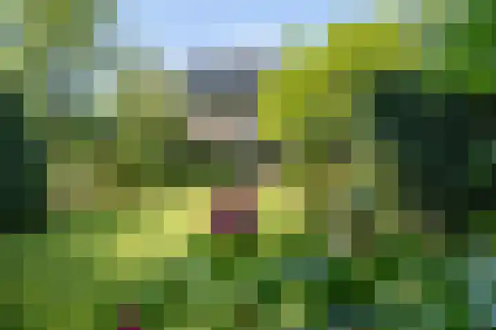 Brahmspark 20 Drunen thumbnail 36