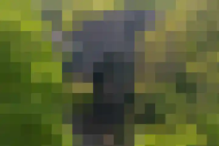 Brahmspark 20 Drunen thumbnail 40