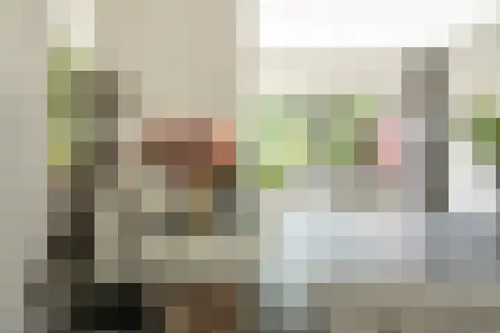 Brahmspark 20 Drunen thumbnail 5