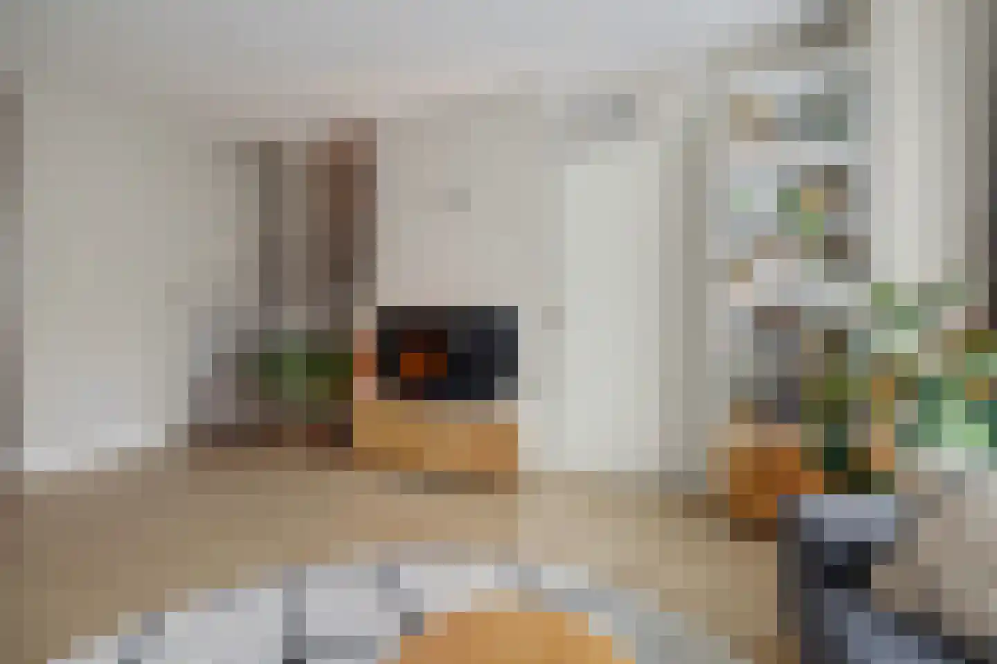 Brahmspark 5 Waalwijk thumbnail 4