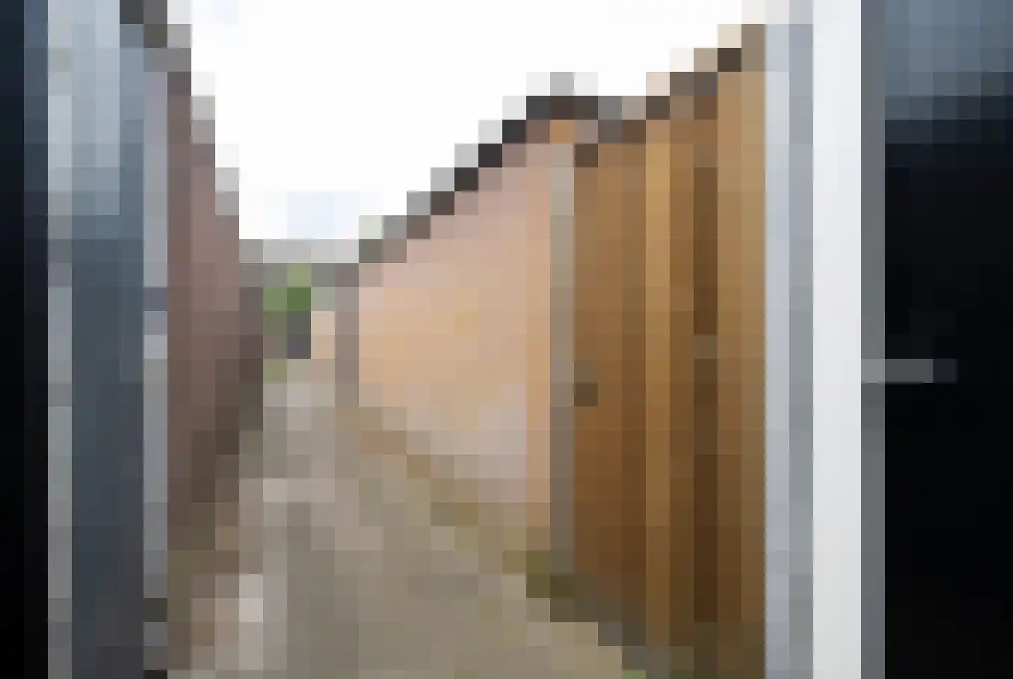 Brahmspark 8 Waalwijk thumbnail 36