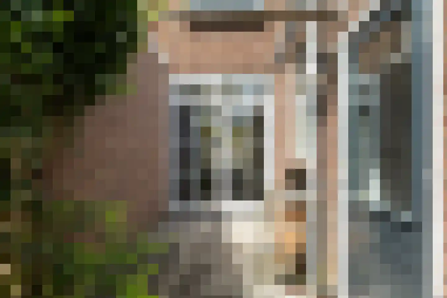 Brahmsstraat 1 Leeuwarden thumbnail 20