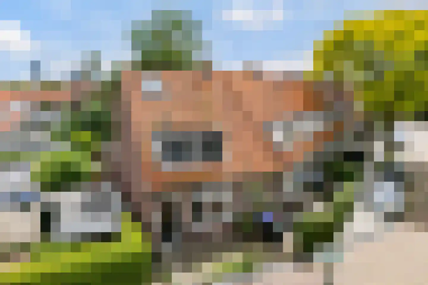 Brahmsstraat 1 Leeuwarden thumbnail 33