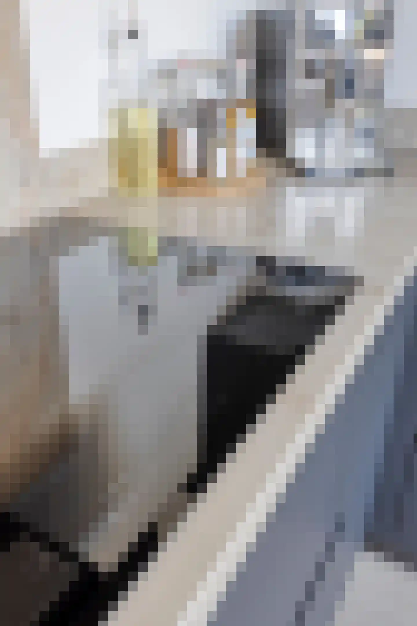 Brahmsstraat 10 Oosterhout thumbnail 20
