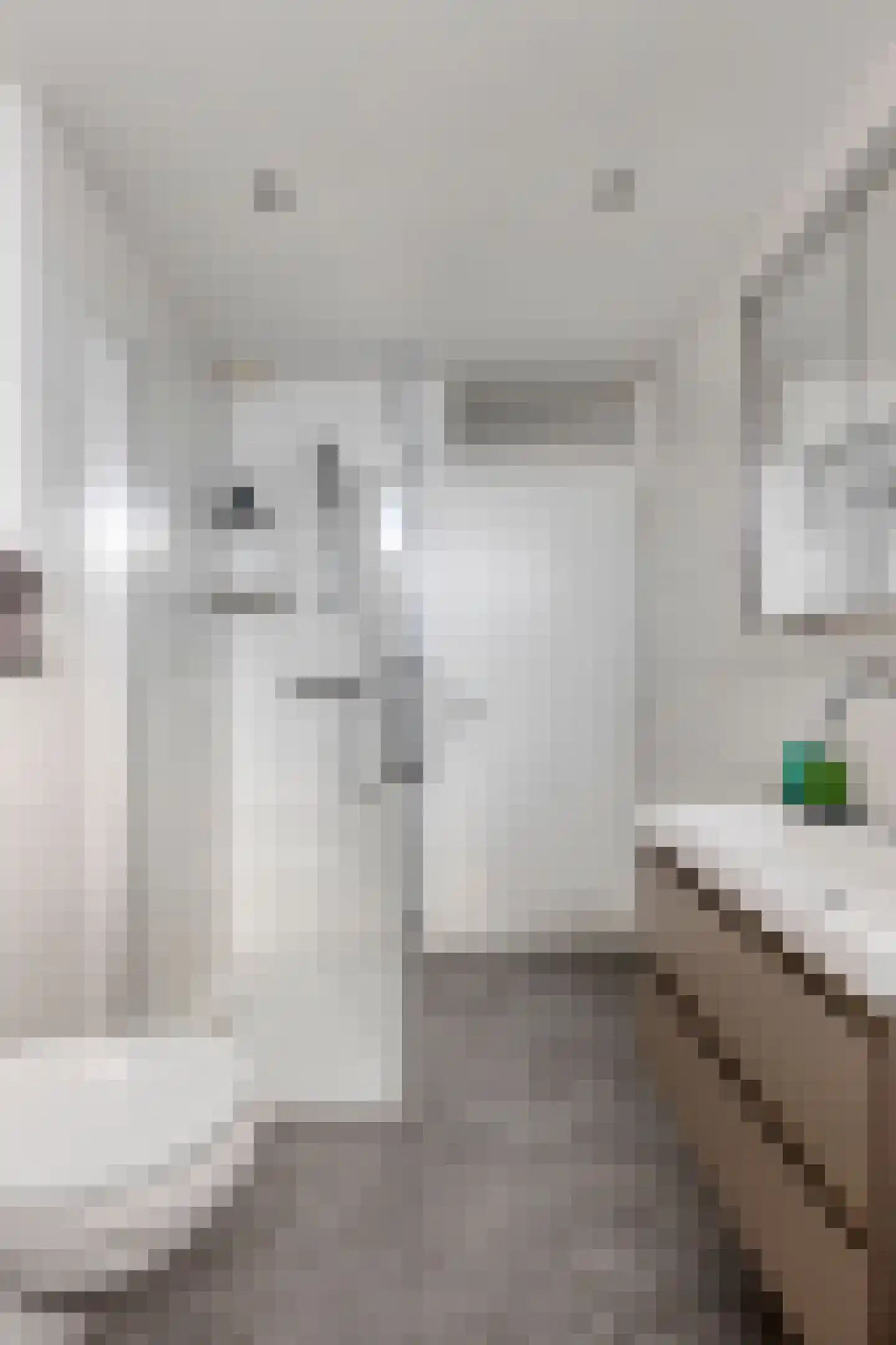 Brahmsstraat 10 Oosterhout thumbnail 27